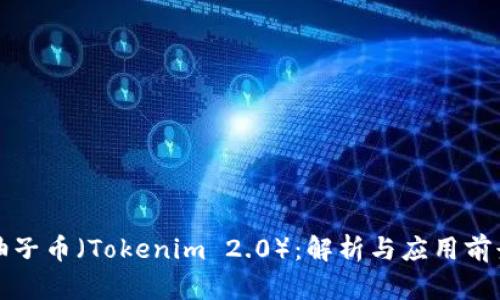 柚子币(Tokenim 2.0):解析与应用前景