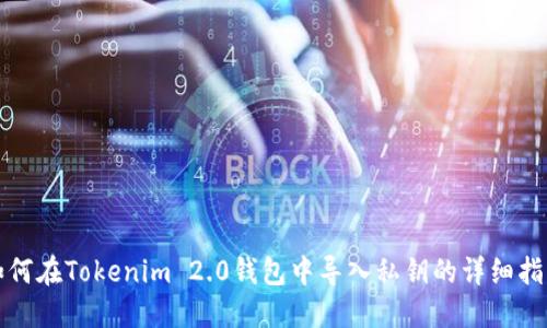 如何在Tokenim 2.0钱包中导入私钥的详细指南