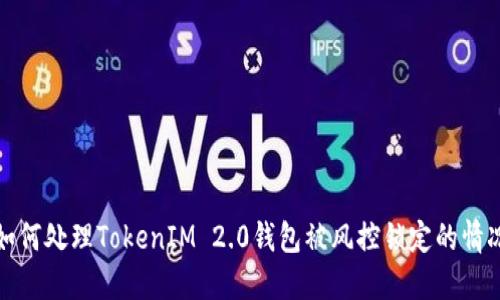 如何处理TokenIM 2.0钱包被风控锁定的情况