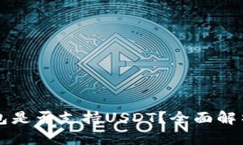 token.im钱包是否支持USDT?全面解析与使用指南