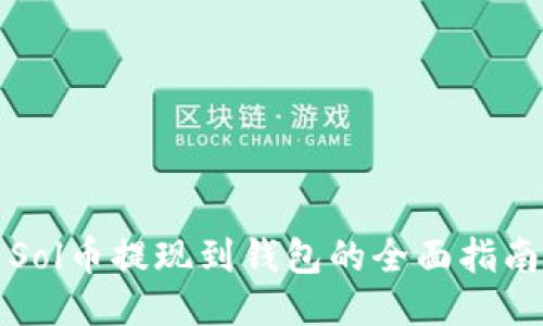 Sol币提现到钱包的全面指南