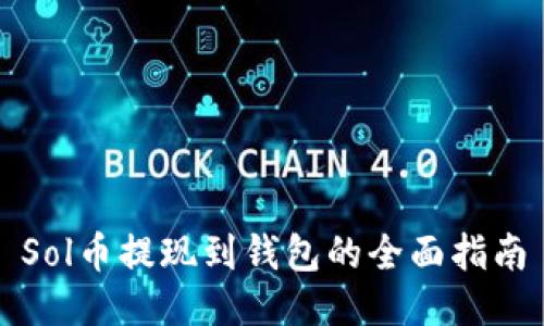 Sol币提现到钱包的全面指南