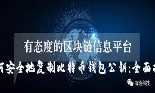 如何安全地复制比特币钱包公钥：全面指南