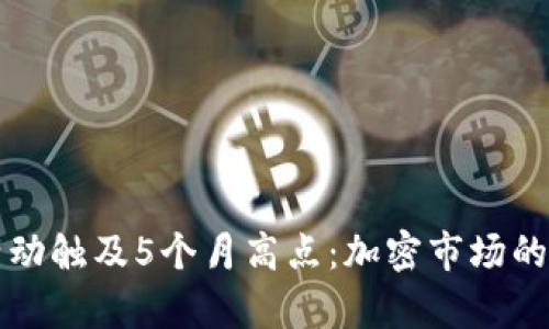 比特币活动触及5个月高点：加密市场的复苏信号