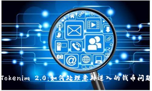 Tokenim 2.0：如何处理意外进入的钱币问题